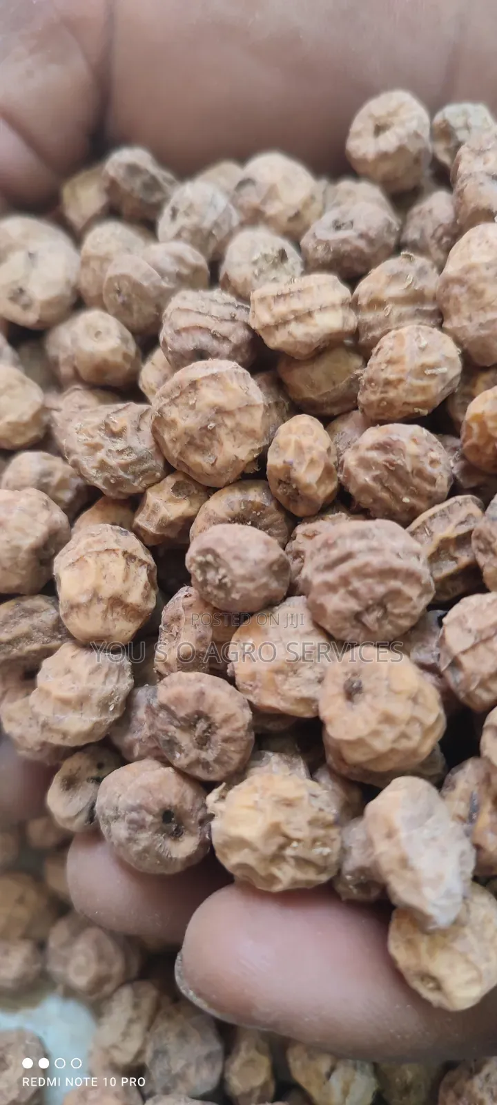 Tiger Nuts (Aya) From Niger