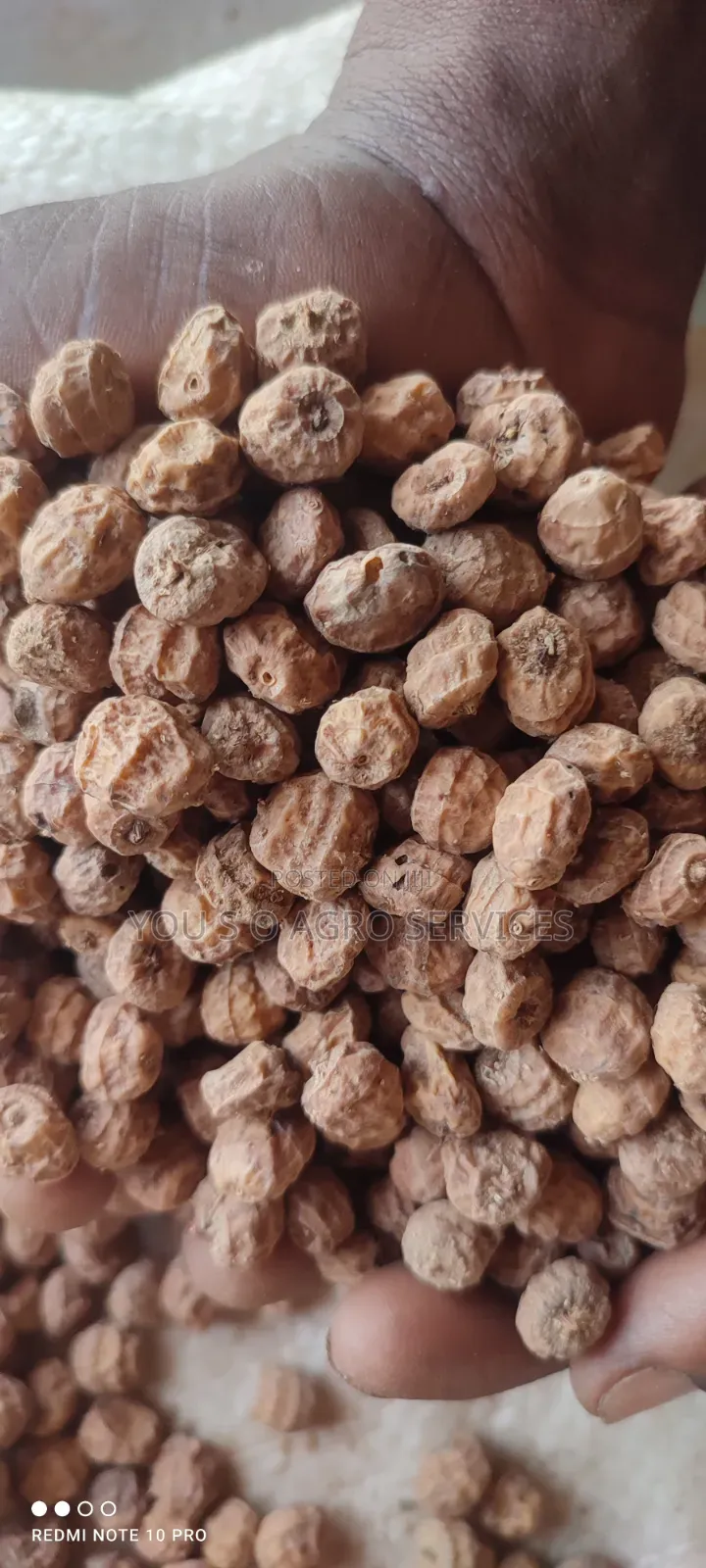 Tiger Nuts (Aya) From Niger