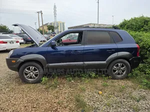 Hyundai Tucson 2006 Blue