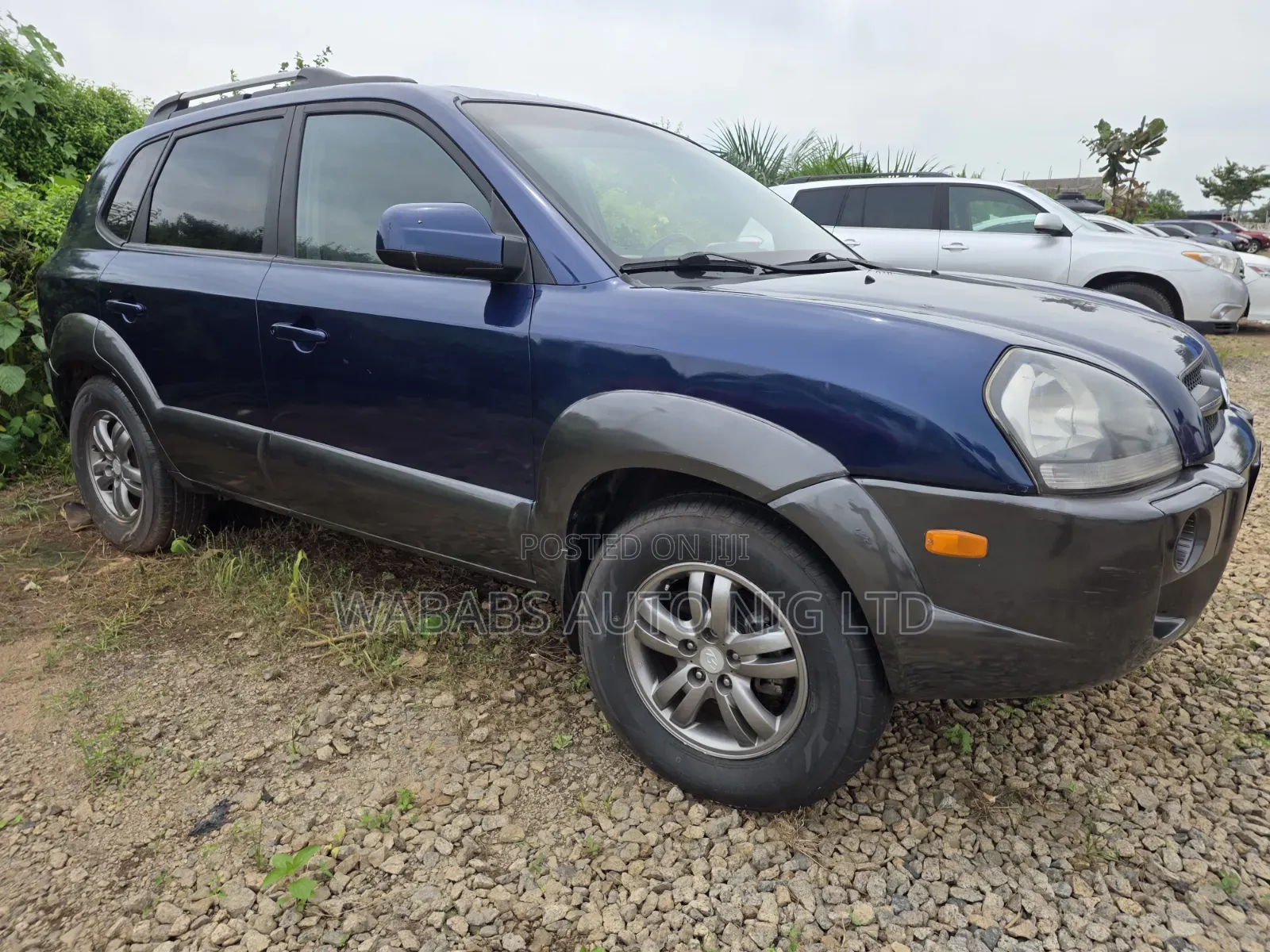 Hyundai Tucson 2006 Blue