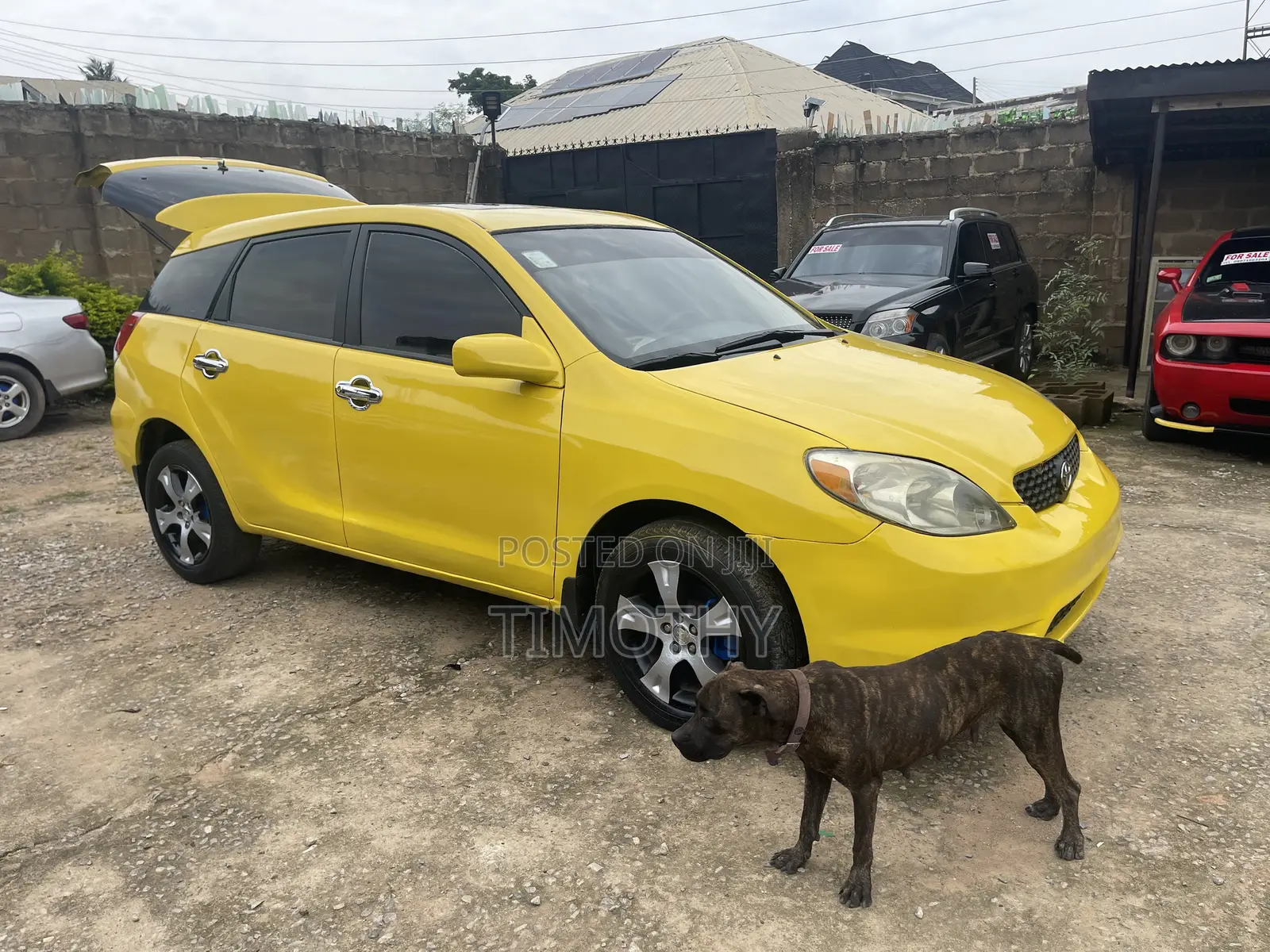 Toyota Matrix 2004 Yellow