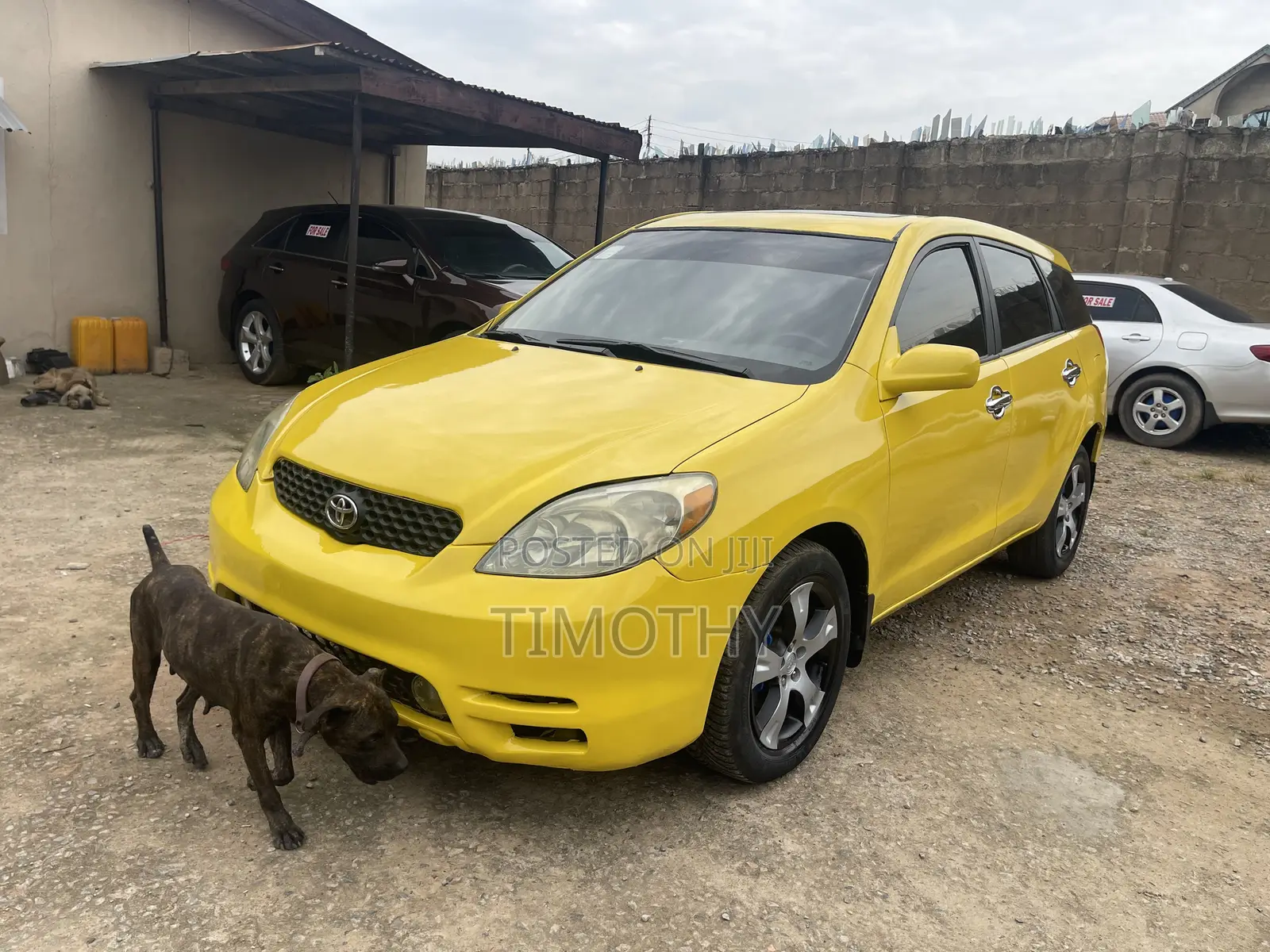 Toyota Matrix 2004 Yellow