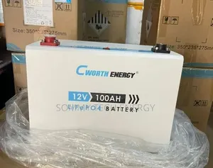100ah Cworth Luthiun Ion Battery