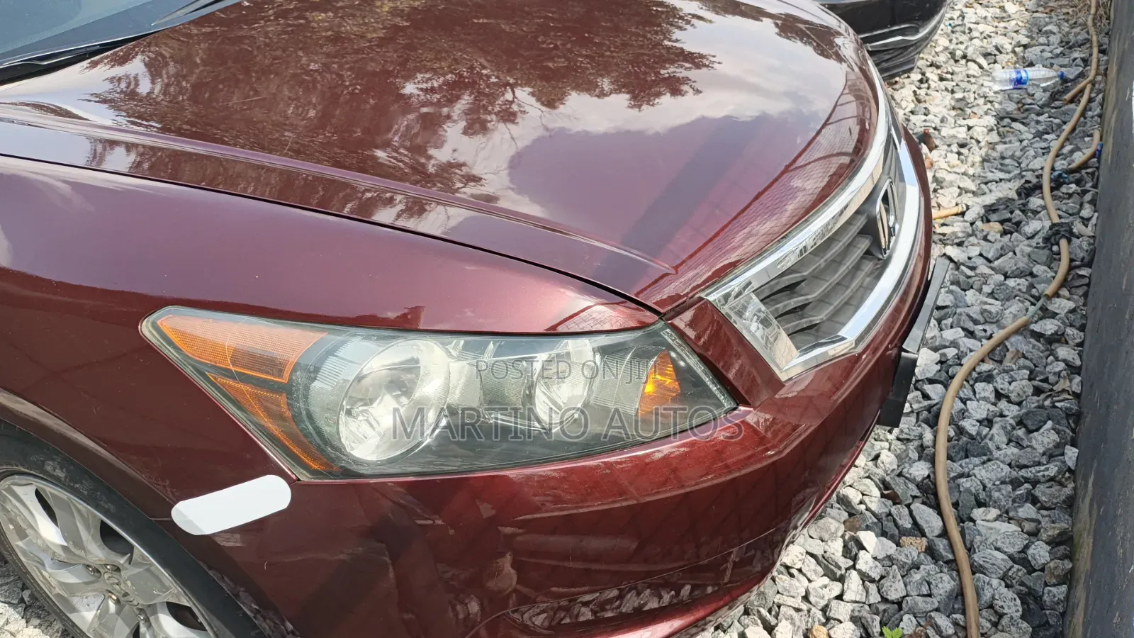 Honda Accord 2010 Maroon