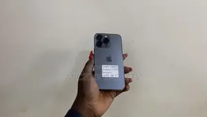 Apple iPhone 13 Pro 256 GB Gray