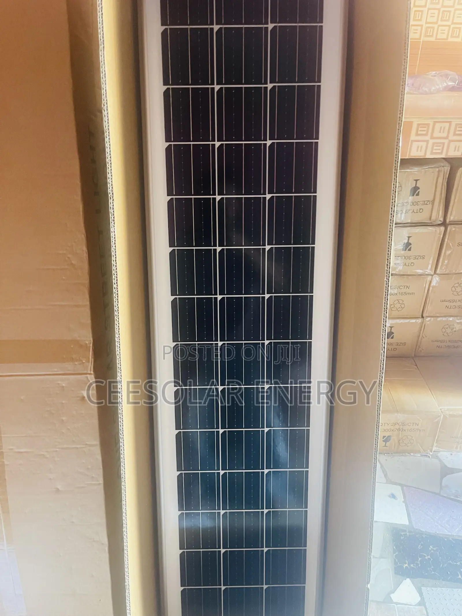 Solar Street Lights