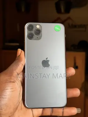 Apple iPhone 11 Pro Max 256 GB Gray