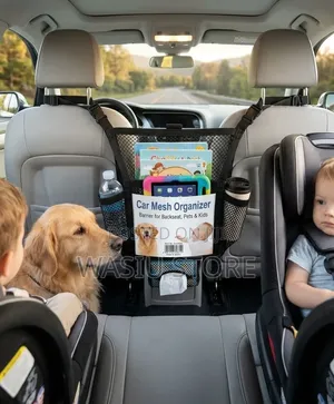 Car Mesh Organizer