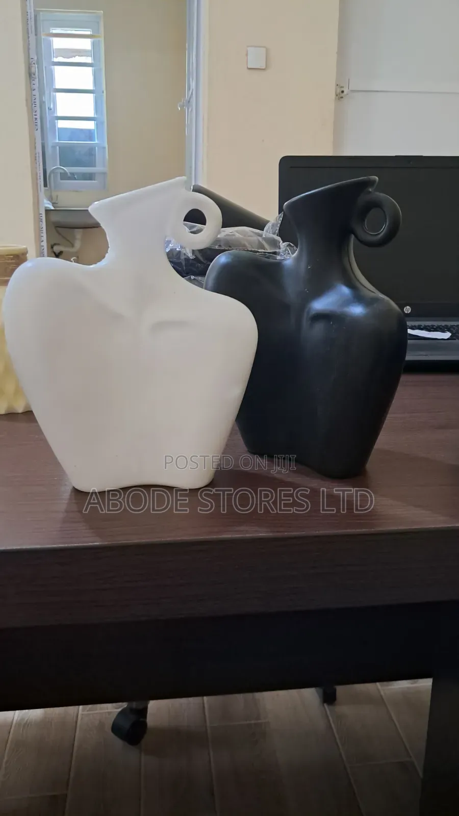 Clavicle Curve Plastic Decoration Vase