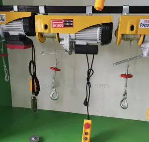 1Ton Mini Electric Hoist