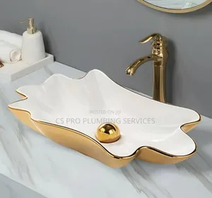 Enugu Professional Plumber