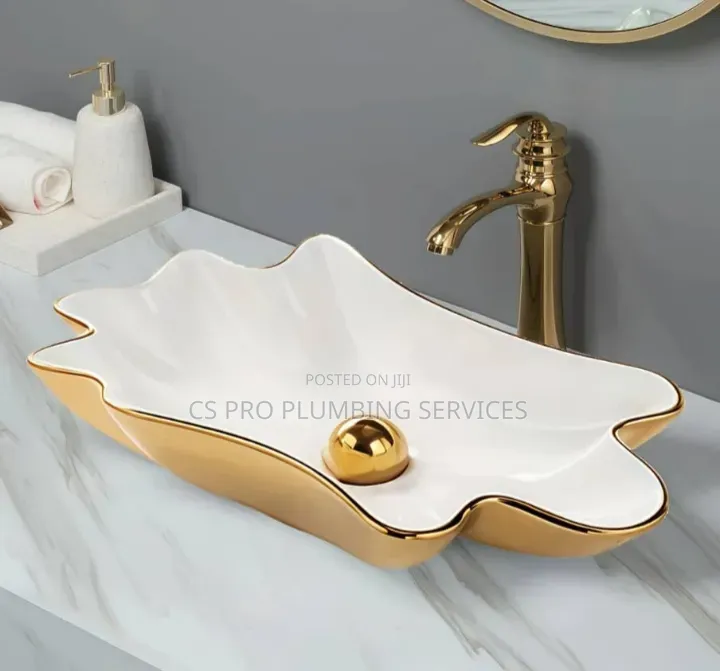 Enugu Professional Plumber