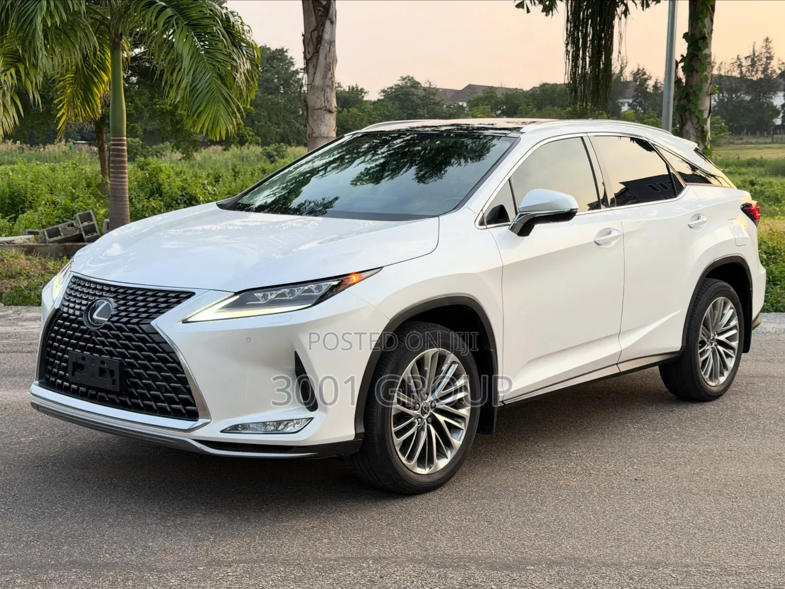 Lexus RX 2022 White