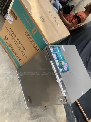 Hisense FC190SH Chest Freezer for Fish Preservation