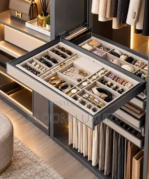 Inbult Wardrobe/Jewelry Box