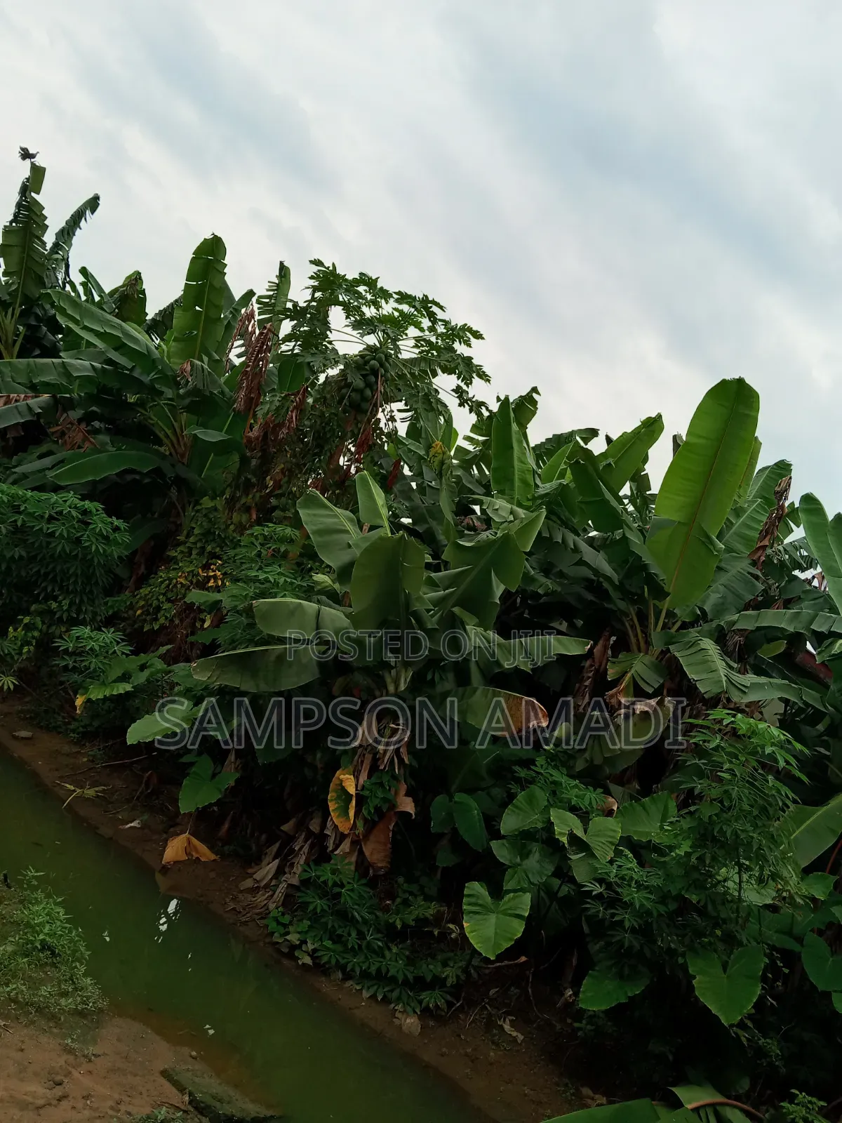 Two Plot of Land for Sale at Rumuohalu
