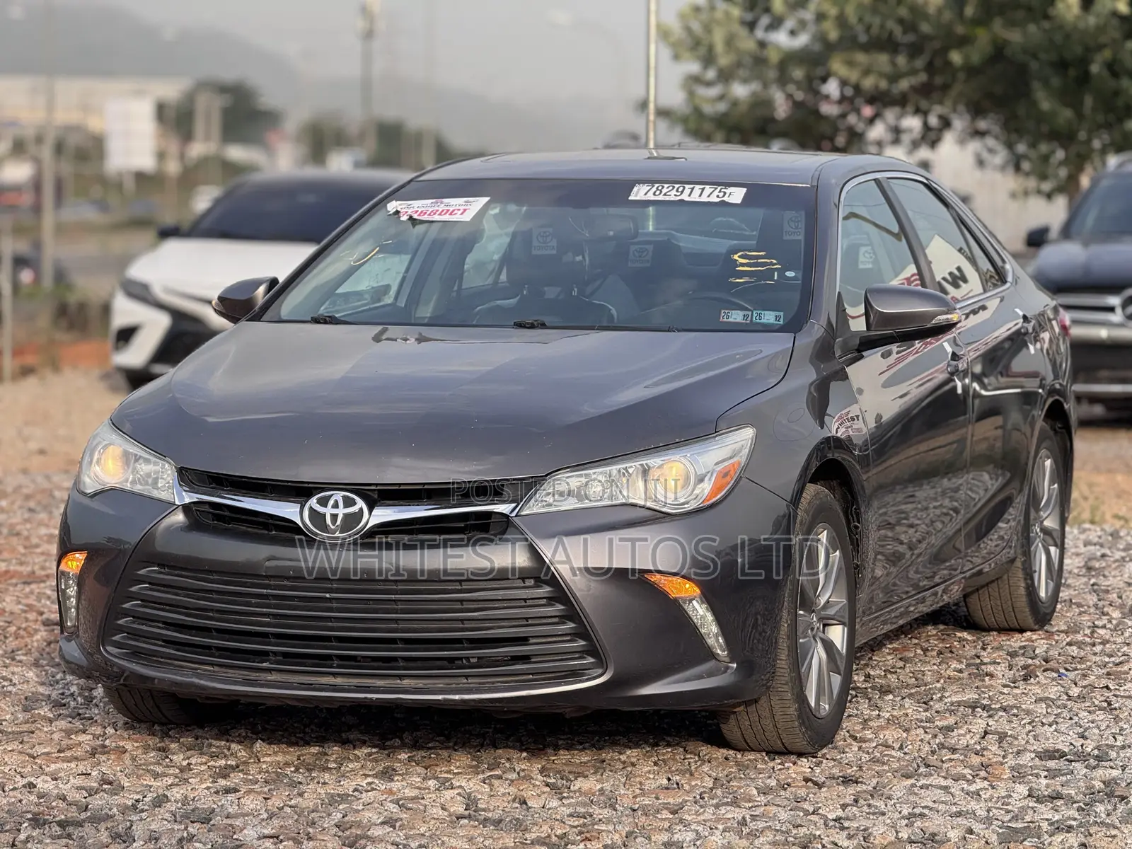 Toyota Camry XLE 4dr Sedan (3.5L 6cyl 6A) 2017 Gray