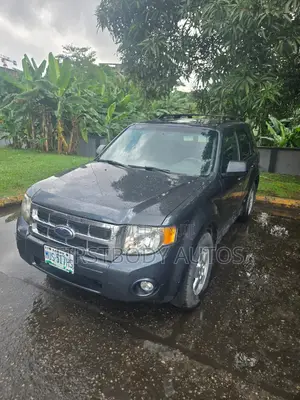 Ford Escape 2009 Gray