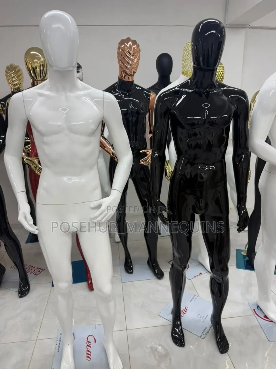 Small Chest Black and White Male Mannequins