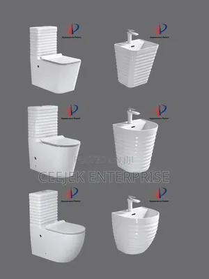 High Luxury Water Closet With Basin