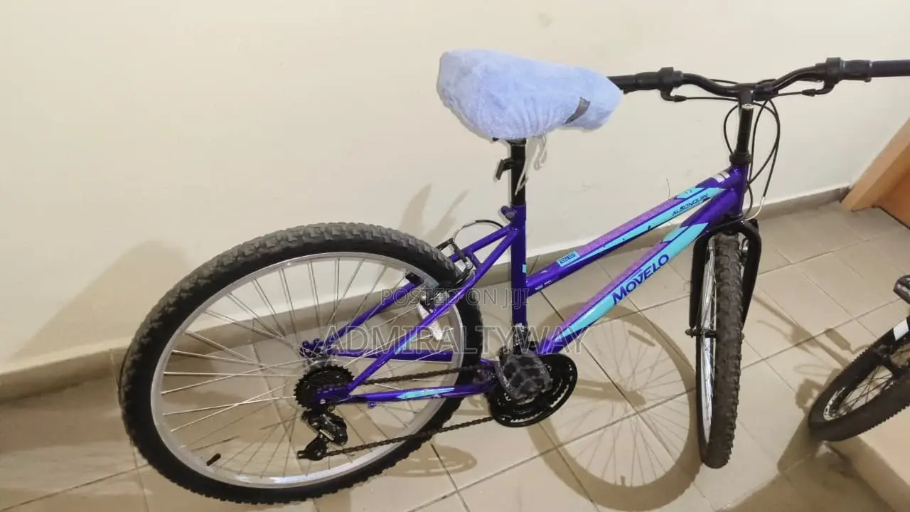 Movelo 21-Speed Mountain Bike - Used & Ready to Ride