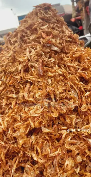 Crayfish Minus Send