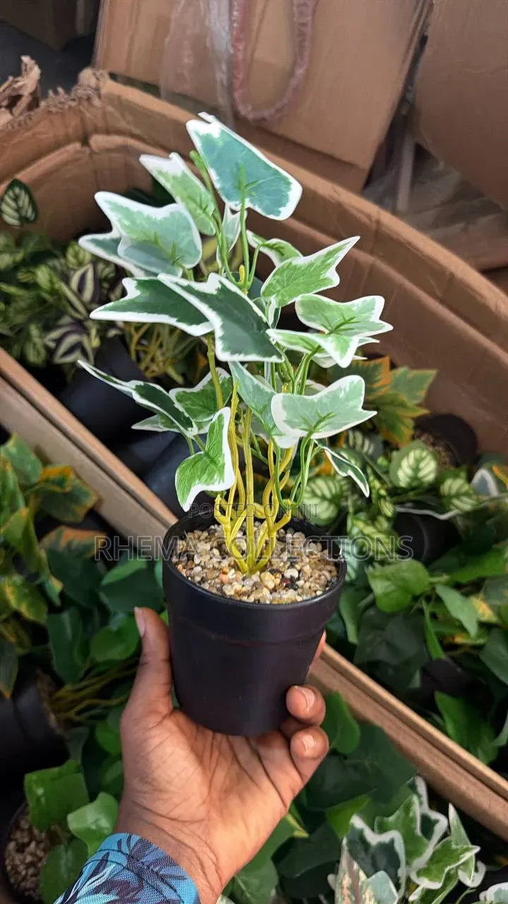 Artificial Green Plant in Black Pot