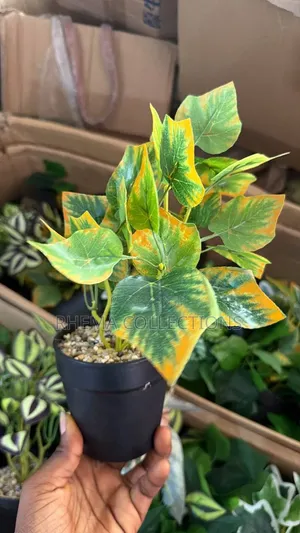 Artificial Green Plant in Black Pot