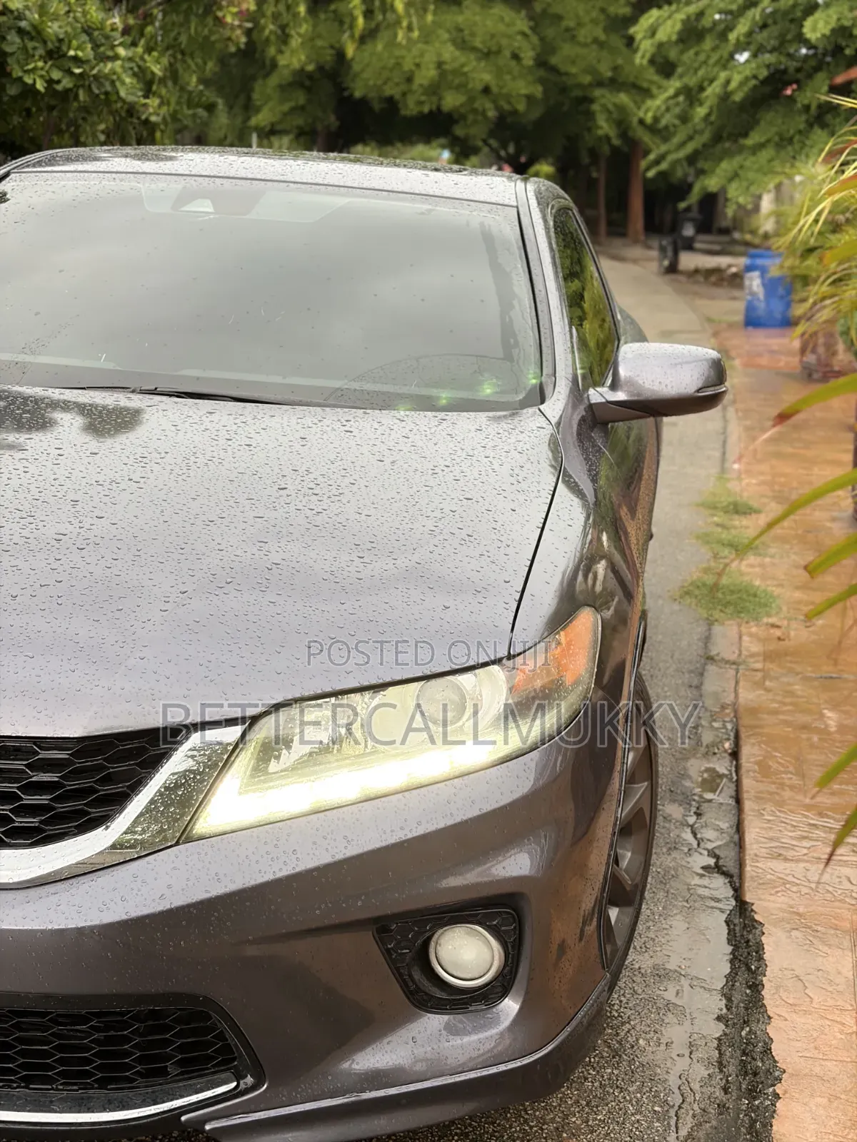 Honda Accord EX-L V-6 2dr Coupe (3.5L 6cyl 6M) 2014 Gray