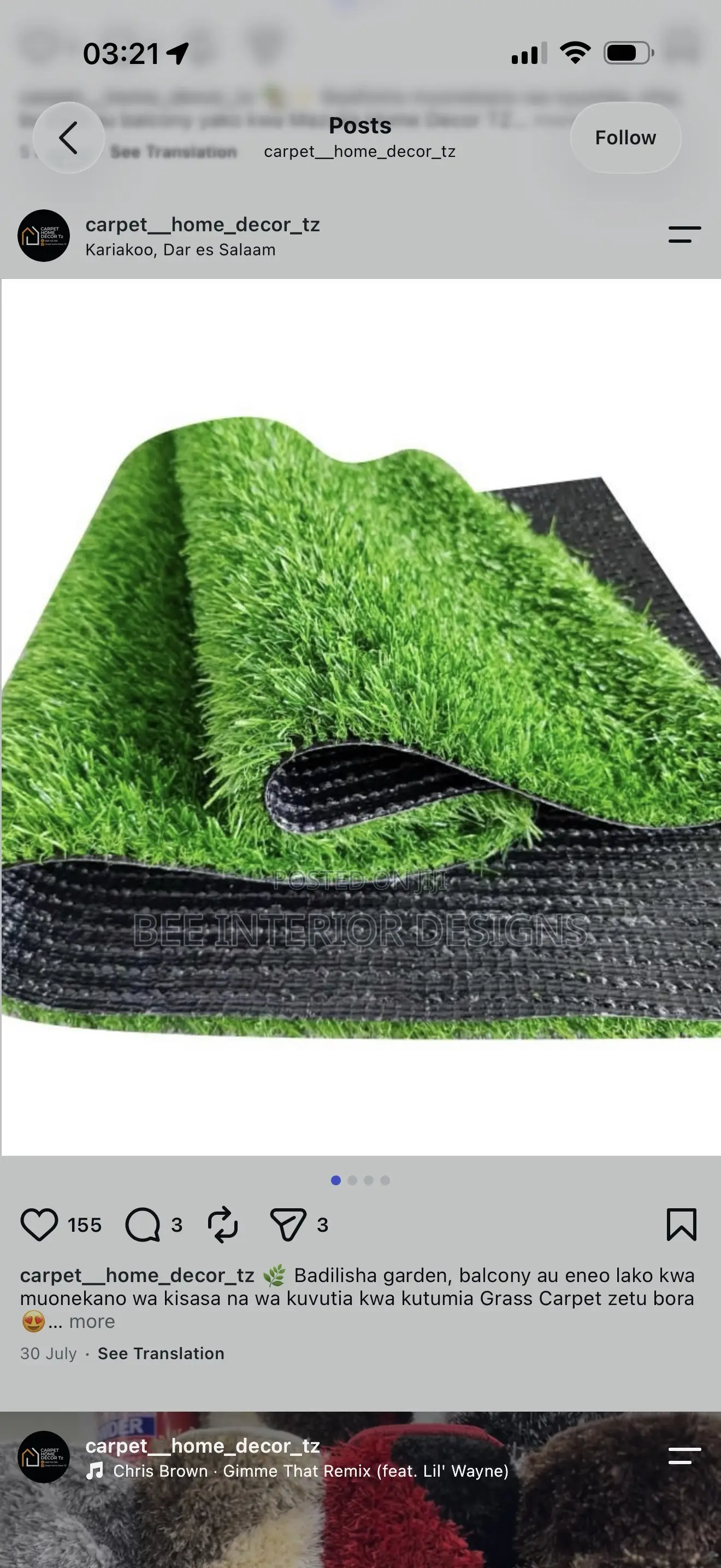 Green Carpet Grass