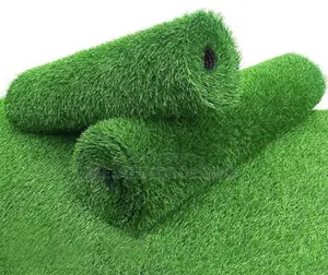 Artificial Grass for School