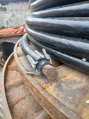 1*500mm Single Core Coleman Wire and Cable