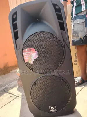 Double 12inches Public Address System