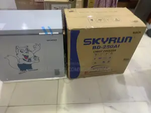 SKYRUN BD-250AI 200-Litre Chest Freezer