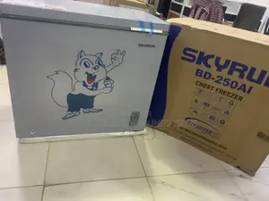SKYRUN 200L Inverter Chest Freezer for Daily Food Preservation