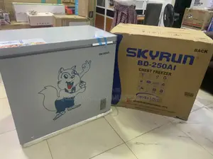 SKYRUN BD-250AI: 200L Space for Your Frozen Essentials