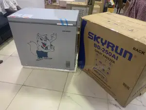 SKYRUN 200L Inverter Chest Freezer for Frozen Food Preservation