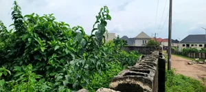 3 Plots of Land With Short Fence for Sale