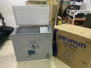 SKYRUN BD-250AI 200L – Modern Storage With Lasting Convenience