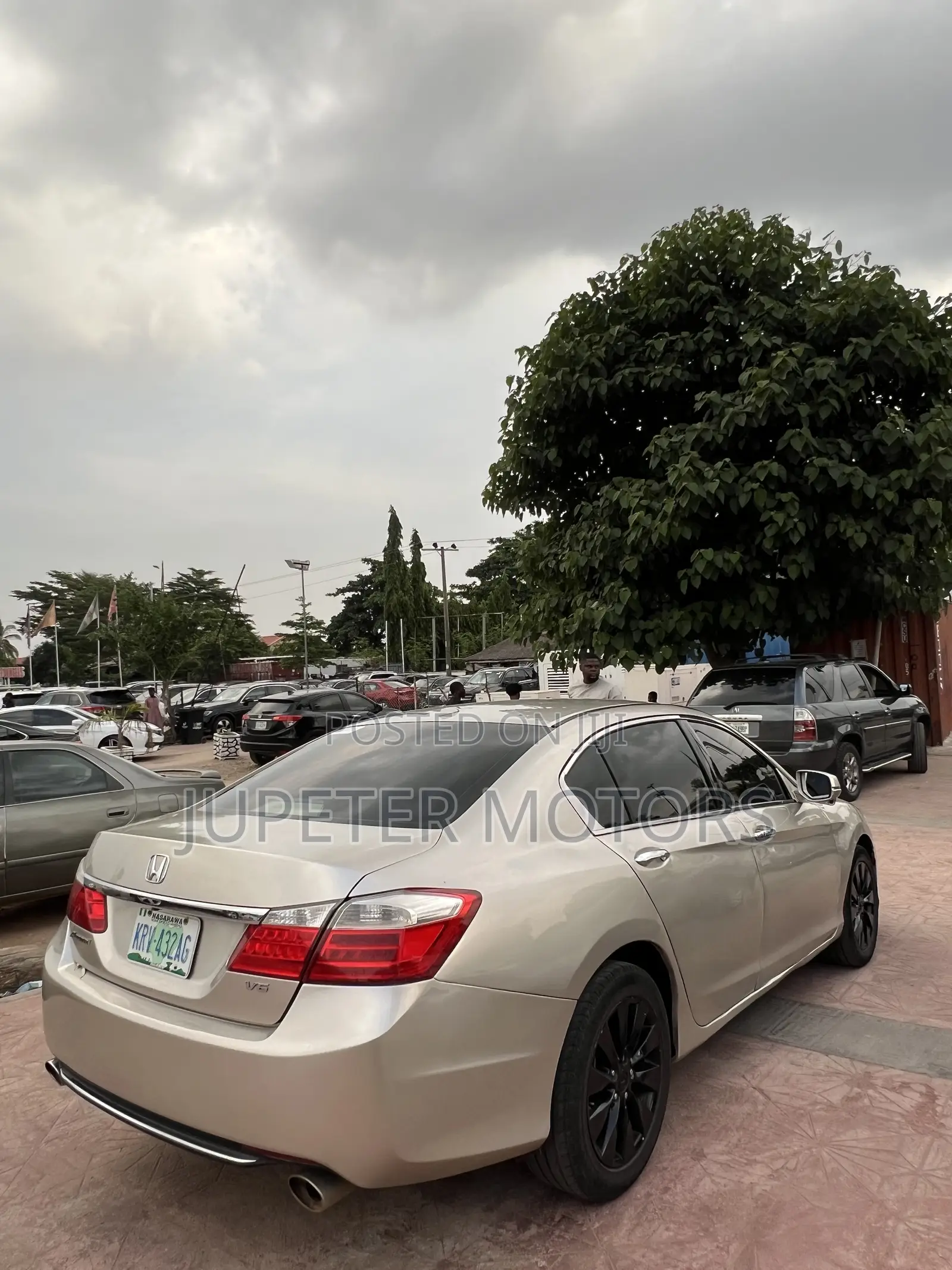 Honda Accord EX-L V-6 4dr Sedan (3.5L 6cyl 6A) 2014 Gold