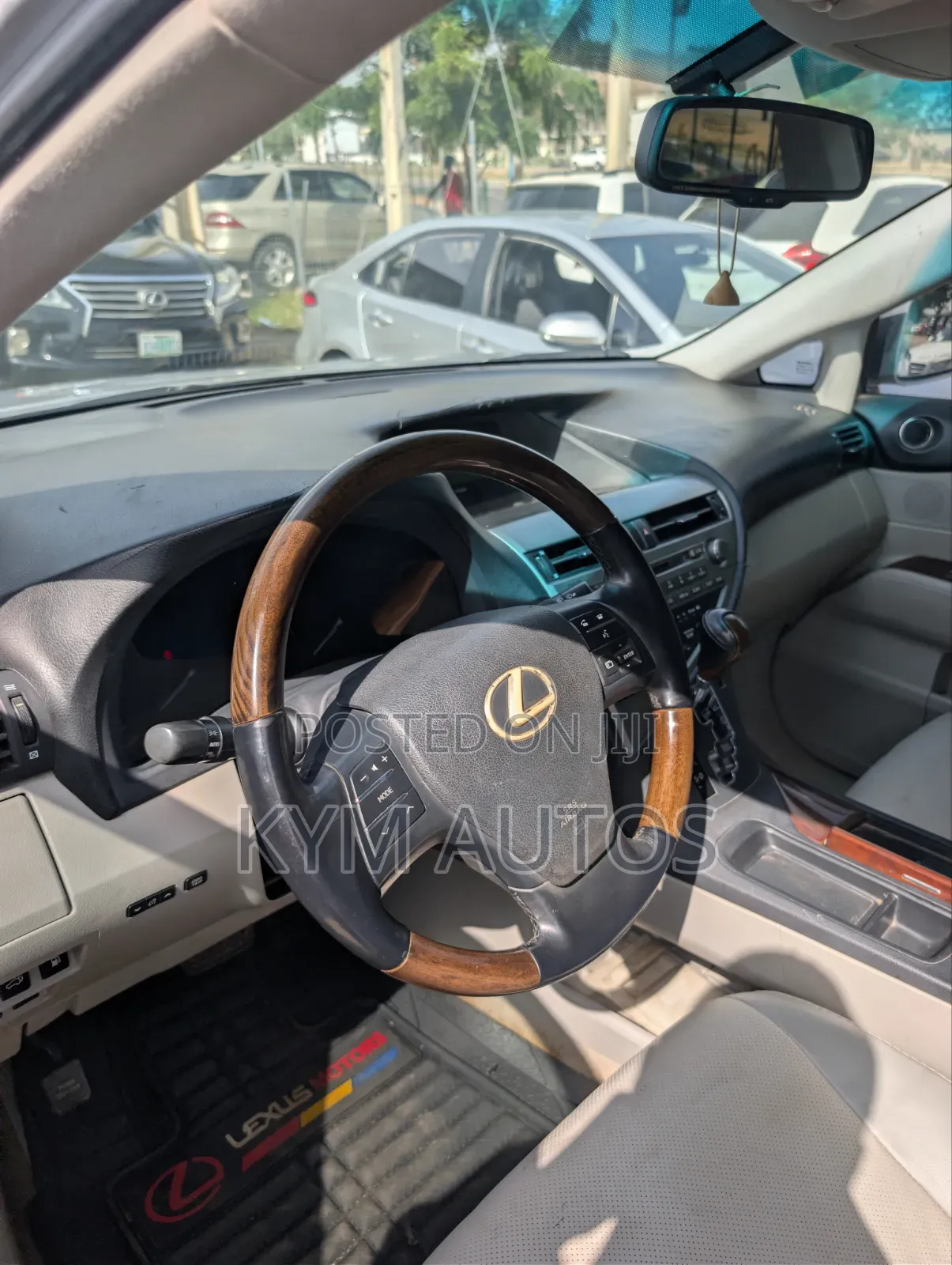 Lexus RX 2010 Silver
