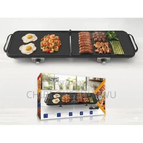 DSP Foldable Indoor Electric Grill