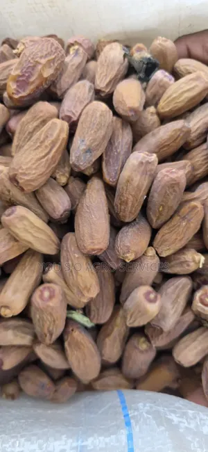 Clean and Sweet Dates (Dabino) From Niger