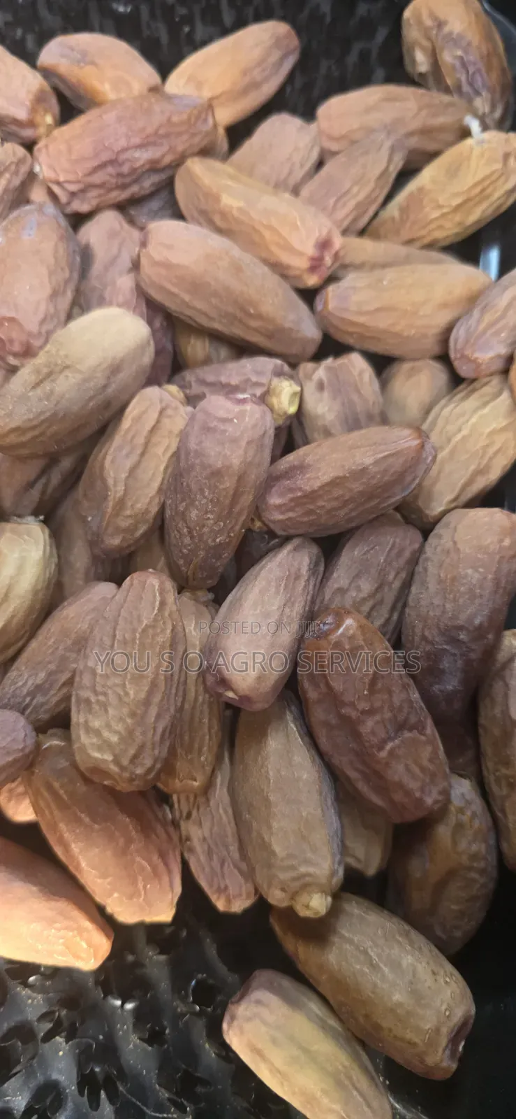 Clean and Sweet Dates (Dabino) From Niger