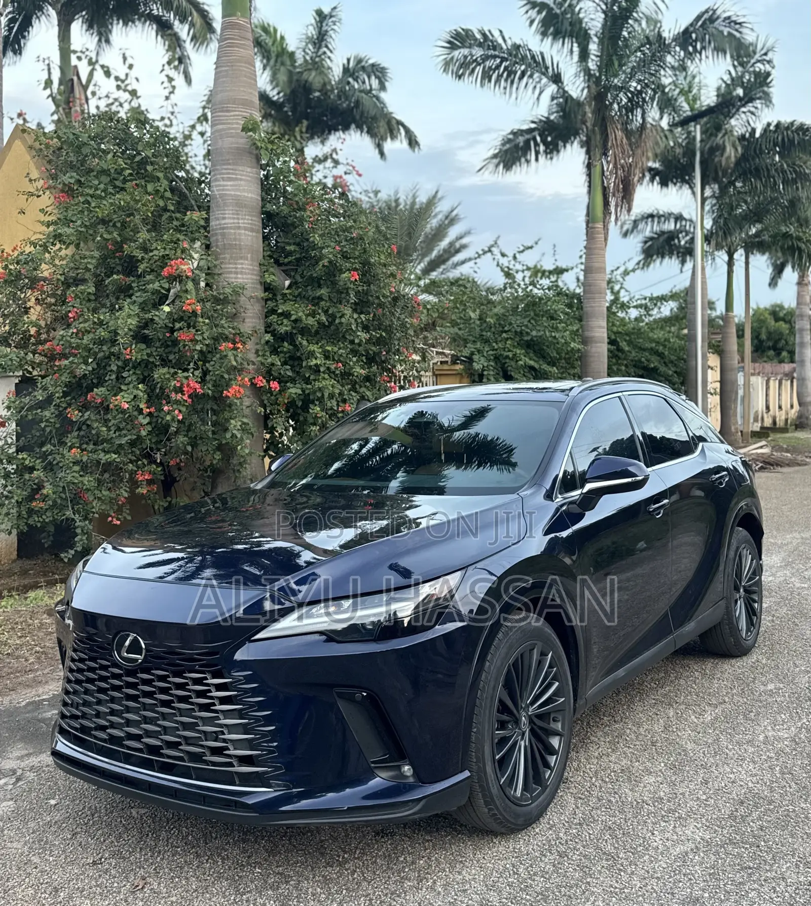 Lexus RX 2025 Blue