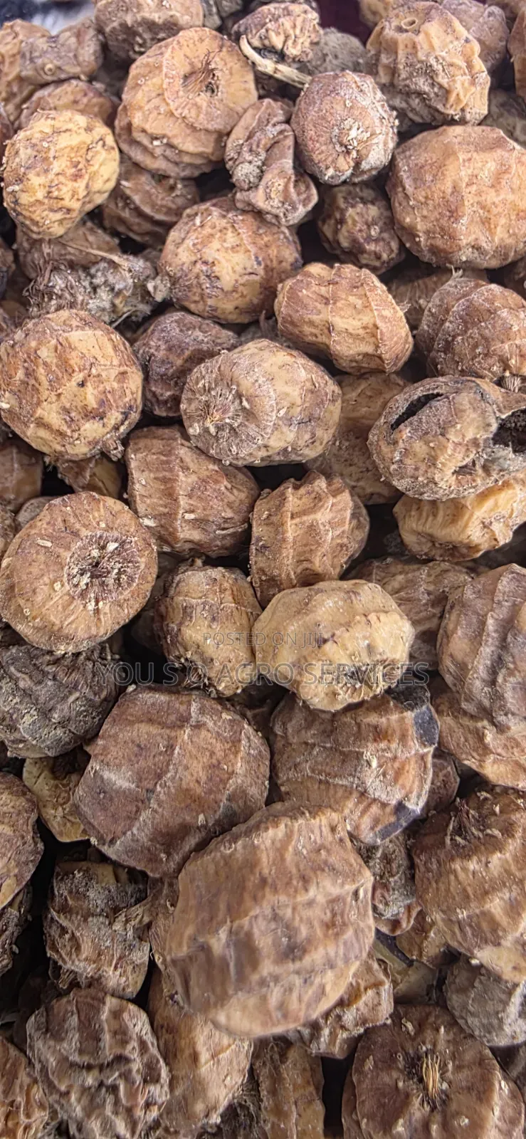 Mayan Aya Tigernuts