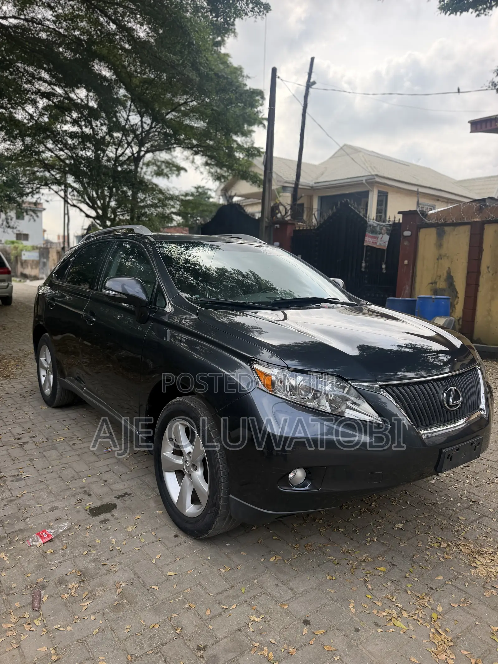 Lexus RX 350 2010 Gray