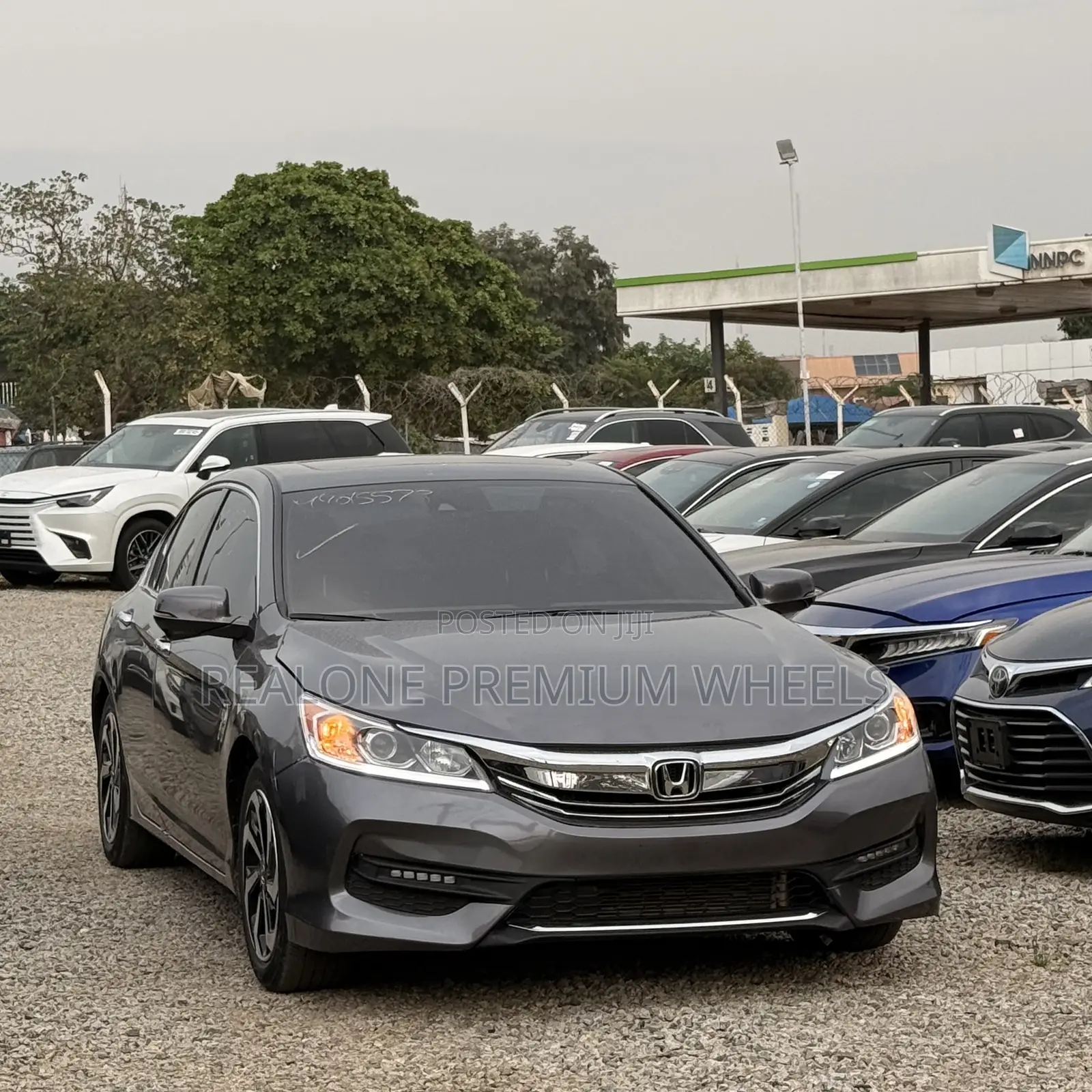 Honda Accord EX-L V-6 4dr Sedan FWD (3.5L 6cyl 6A) 2016 Gray
