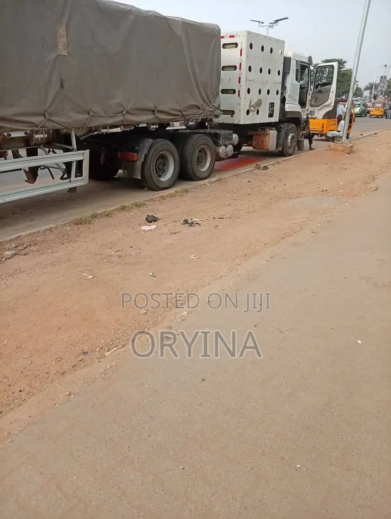 Top Quality Dangote and Bua Cement
