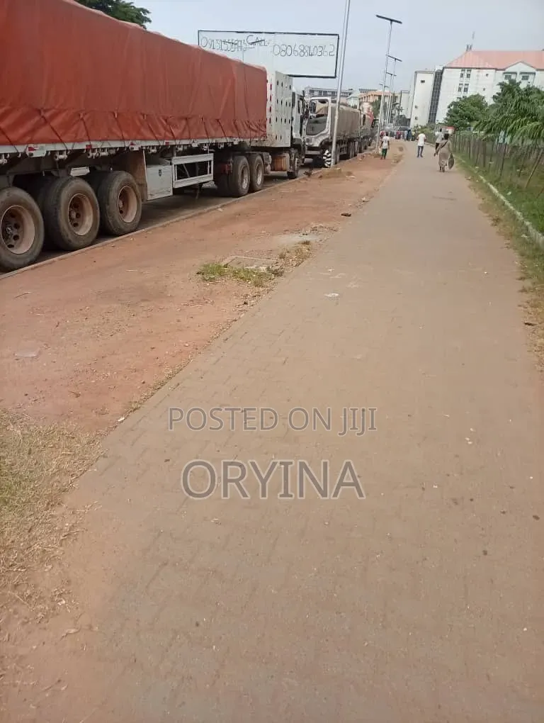 Top Quality Dangote and Bua Cement